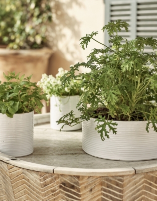 White Ribbed Ceramic Planter – Large