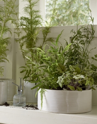 White Ribbed Ceramic Planter – Large