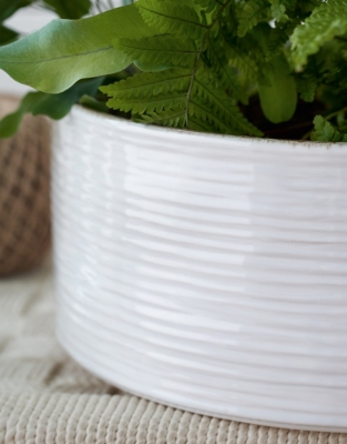 White Ribbed Ceramic Planter – Large