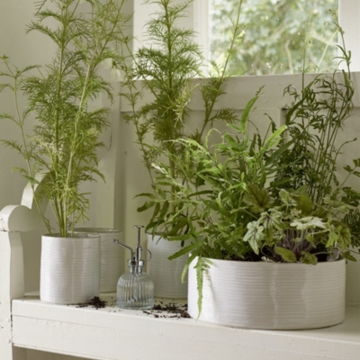 White Ribbed Ceramic Planter – Large