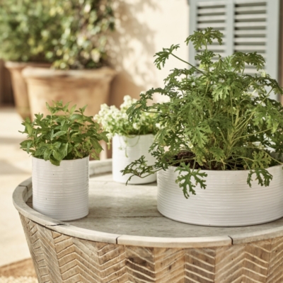 White Ribbed Ceramic Planter – Large