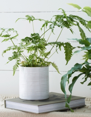 White Ribbed Ceramic Planter – Small