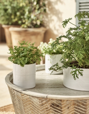 White Ribbed Ceramic Planter – Small