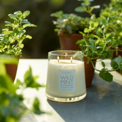 Wild Mint Candle