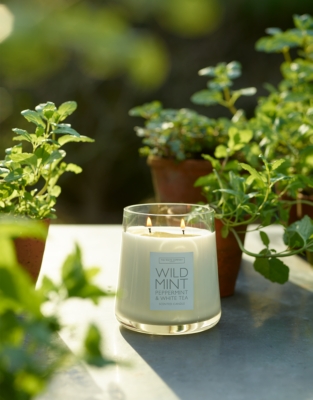 Wild Mint Candle
