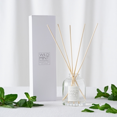 Wild Mint Diffuser