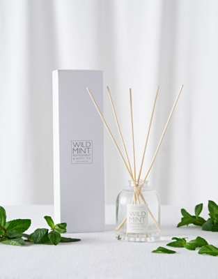 Wild Mint Diffuser
