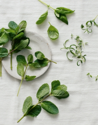 Wild Mint Diffuser