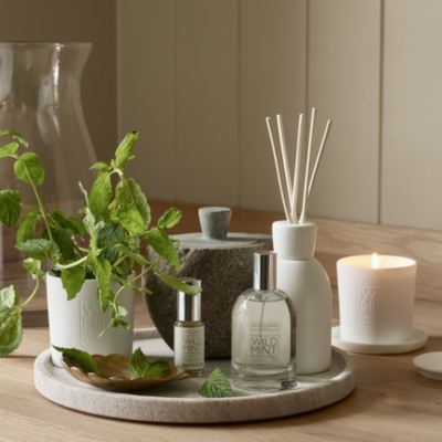 Wild Mint Diffuser