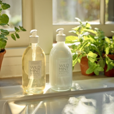 Wild Mint Hand Lotion