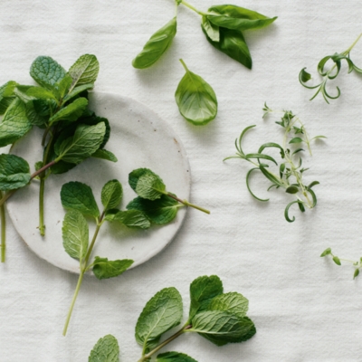 Wild Mint Home Spray