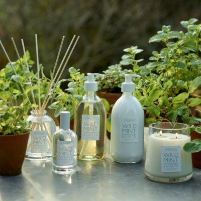 Wild Mint Home Spray