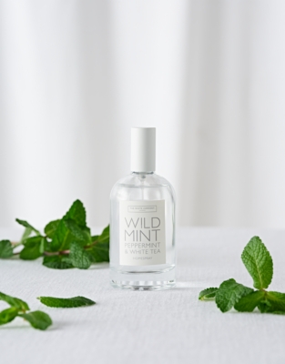 Wild Mint Home Spray