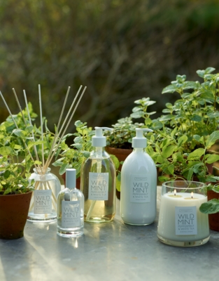 Wild Mint Home Spray