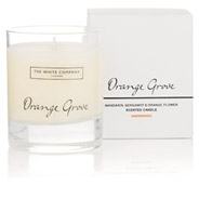 Orange Grove Signature Candle